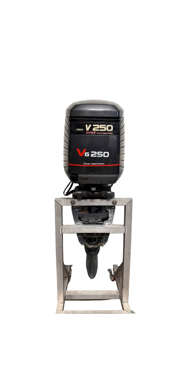 Yamaha 250HP OX66 Saltwater Series two-stroke outboard motor — 25 inch extra-long shaft, port side view